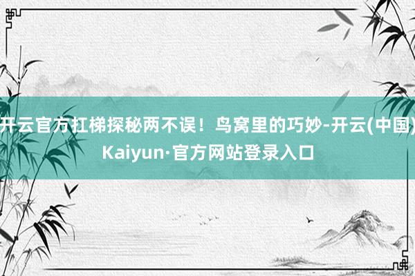 开云官方扛梯探秘两不误！鸟窝里的巧妙-开云(中国)Kaiyun·官方网站登录入口