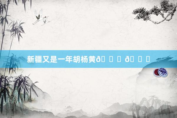新疆又是一年胡杨黄🍂🍁
