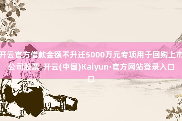 开云官方借款金额不升迁5000万元专项用于回购上市公司股票-开云(中国)Kaiyun·官方网站登录入口