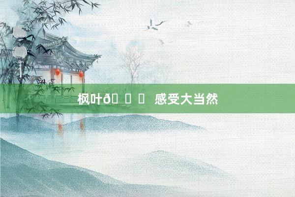 枫叶🍁 感受大当然