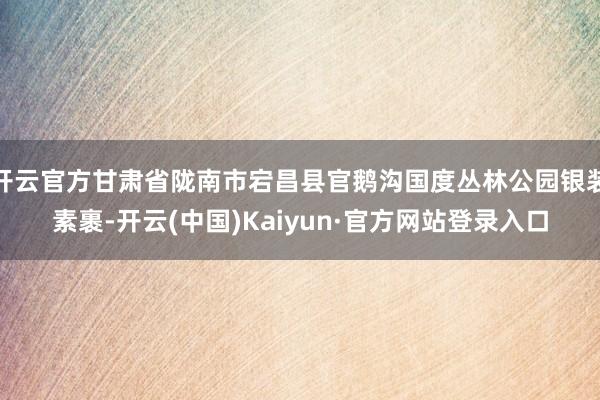 开云官方甘肃省陇南市宕昌县官鹅沟国度丛林公园银装素裹-开云(中国)Kaiyun·官方网站登录入口