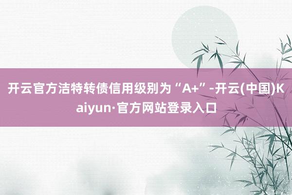 开云官方洁特转债信用级别为“A+”-开云(中国)Kaiyun·官方网站登录入口